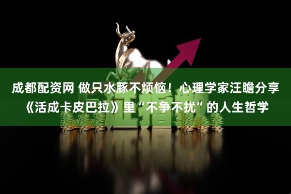 成都配资网 做只水豚不烦恼！心理学家汪瞻分享《活成卡皮巴拉》里“不争不扰”的人生哲学