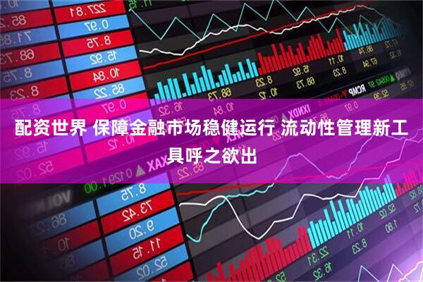 配资世界 保障金融市场稳健运行 流动性管理新工具呼之欲出